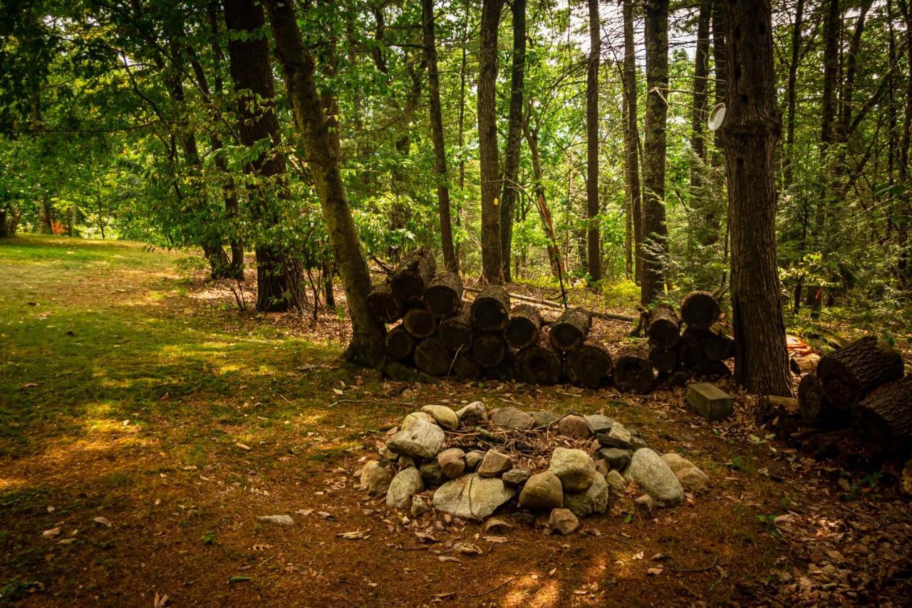 Hikers Haven, A Cozy Cabin Loft Above Bashakill Wildlife Refuge Villa Wurtsboro Bagian luar foto